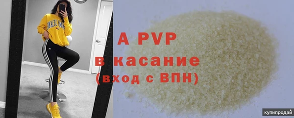 трава Аркадак