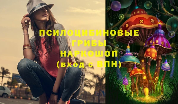 apvp Алексеевка