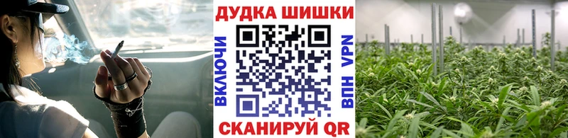 закладка  hydra ссылки  Конопля планчик  Биробиджан 